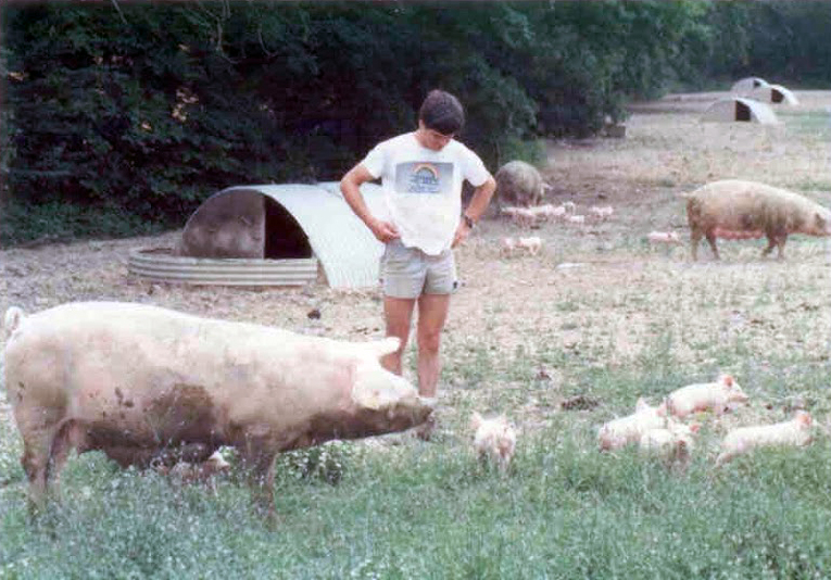 Jean-Luc s’installe à Las Cases sur 40 hectares de terres et démarre l’élevage de porcs en plein air.